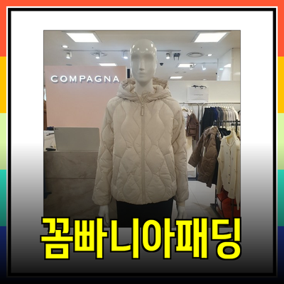 꼼빠니아패딩: 겨울 패션의 새로운 기준을 제시하는 필수 아이템들