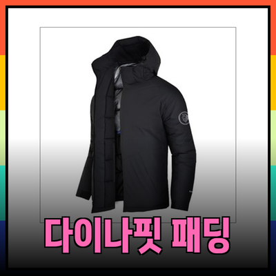 겨울을 따뜻하게! 다이나핏 패딩 제품 소개와 추천